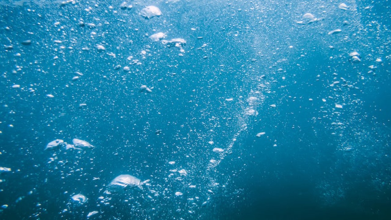 Kẻ Săn Mồi Đáy Biển - Underwater