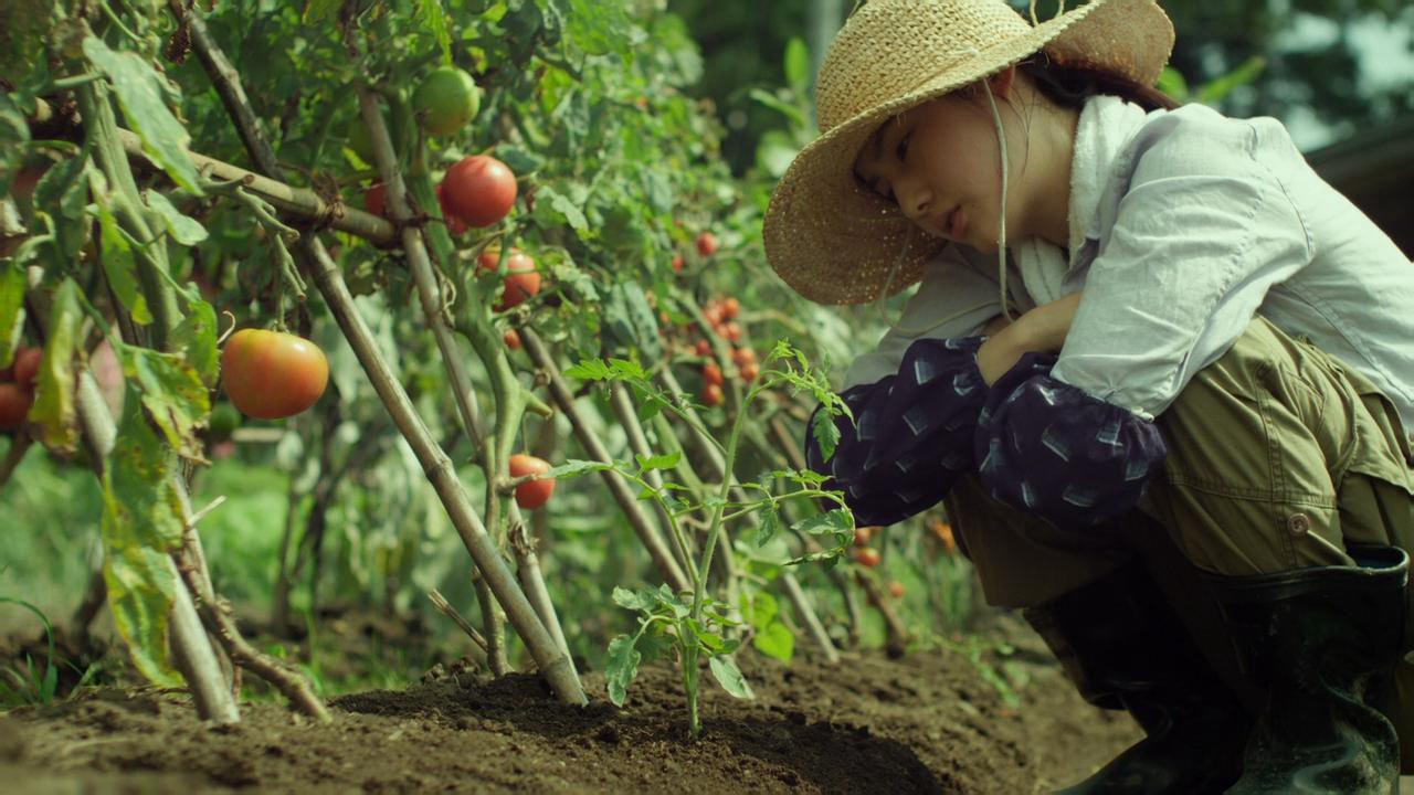 Little Forest: Summer/Autumn - Little Forest: Summer/Autumn